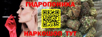 apvp Тара