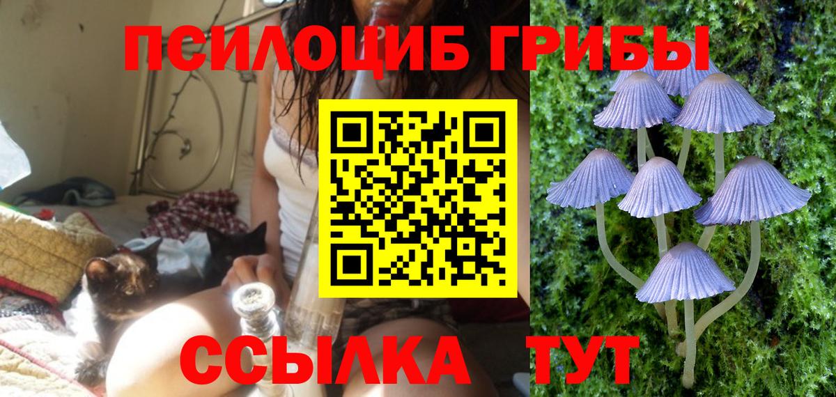 Галлюциногенные грибы прущие грибы  Вход с VPN  Галлюциногенные грибы прущие грибы  Белогорск 